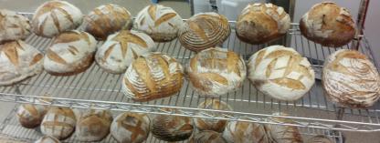 Finished Loaves (cropped)